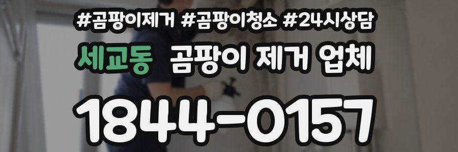 세교동 곰팡이 제거 업체
