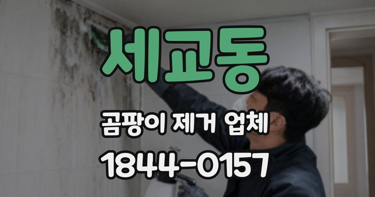 세교동 곰팡이 제거 업체