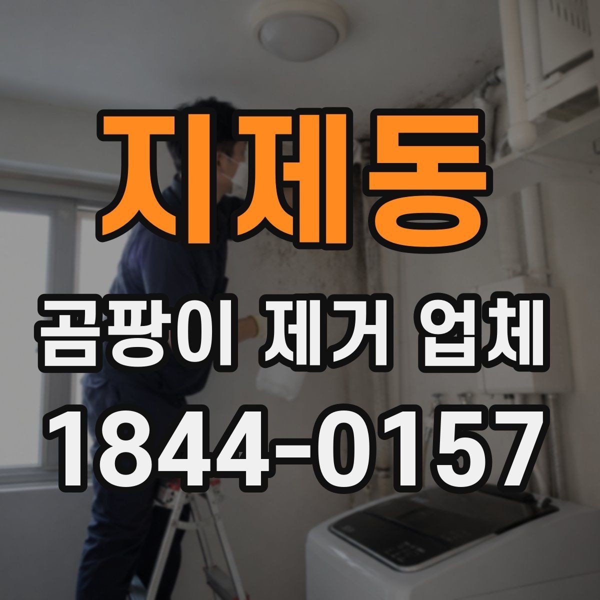 지제동 곰팡이 제거 업체 내부 결로와 외벽 하자를 함께 보는 방법