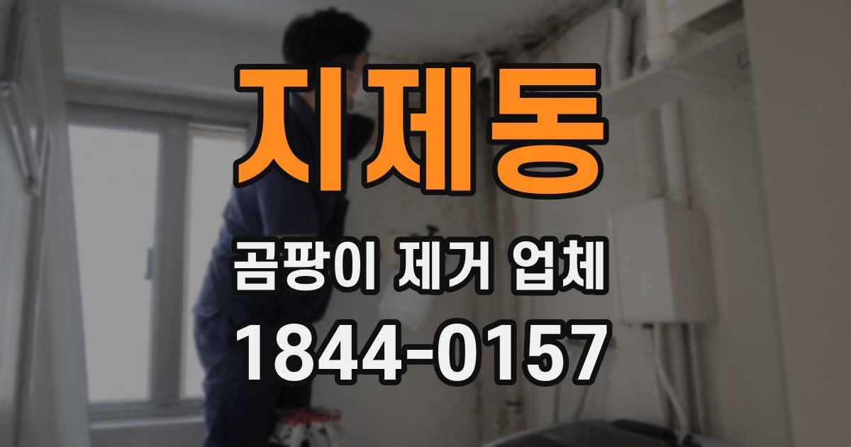 지제동 곰팡이 제거 업체