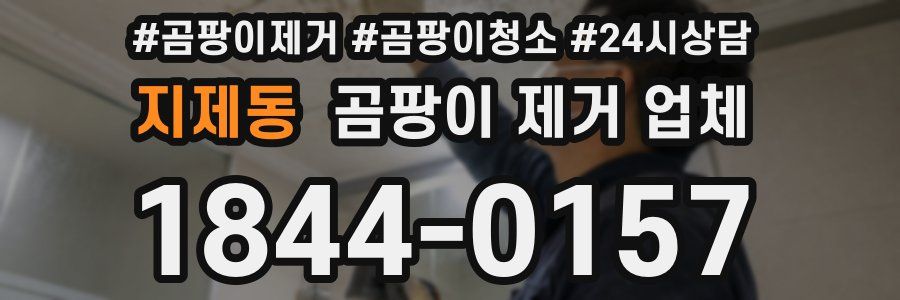 지제동 곰팡이 제거 업체