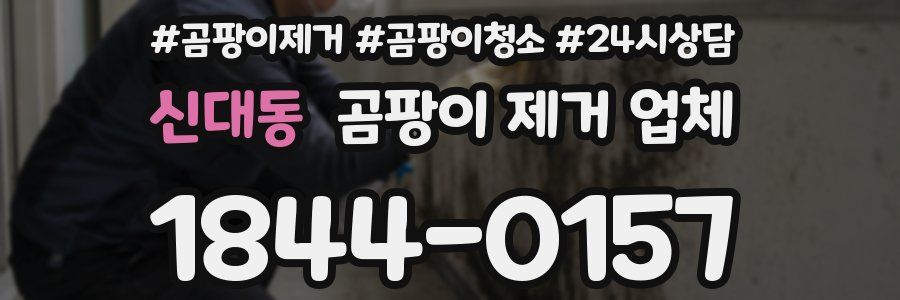 신대동 곰팡이 제거 업체