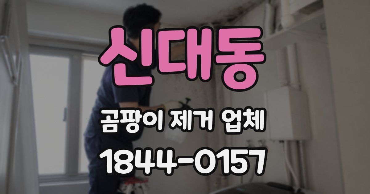 신대동 곰팡이 제거 업체
