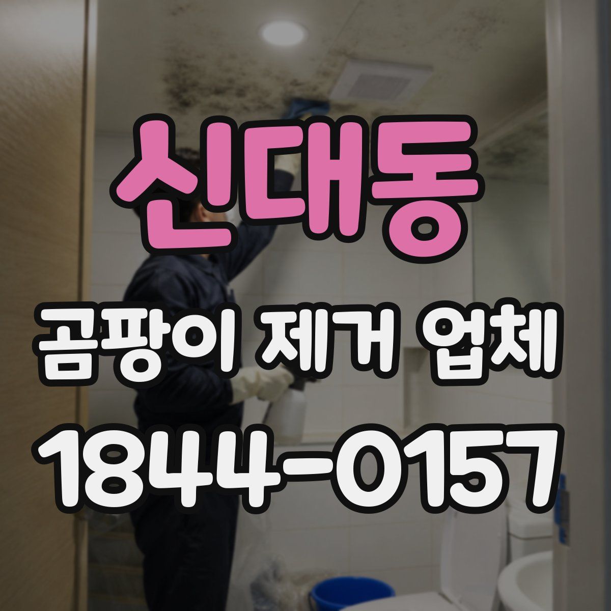 신대동 곰팡이 제거 업체