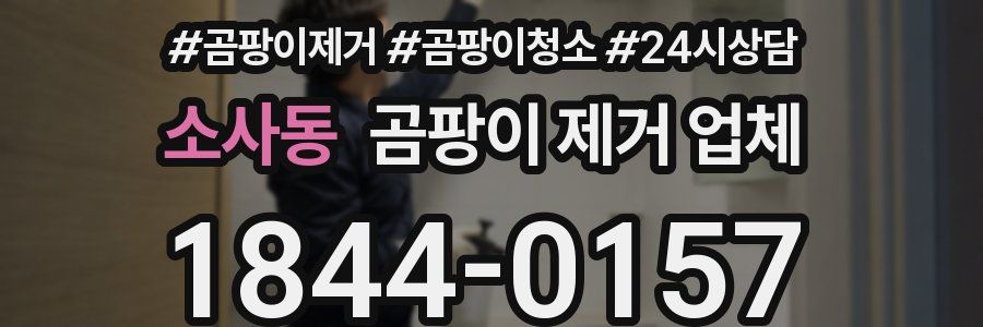 소사동 곰팡이 제거 업체