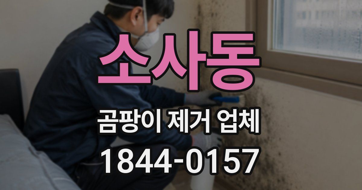 소사동 곰팡이 제거 업체