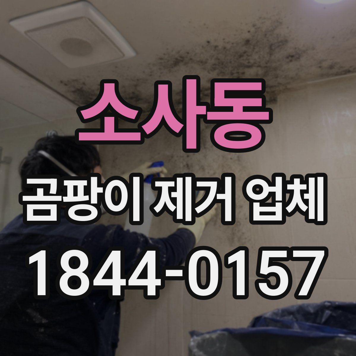 소사동 곰팡이 제거 업체