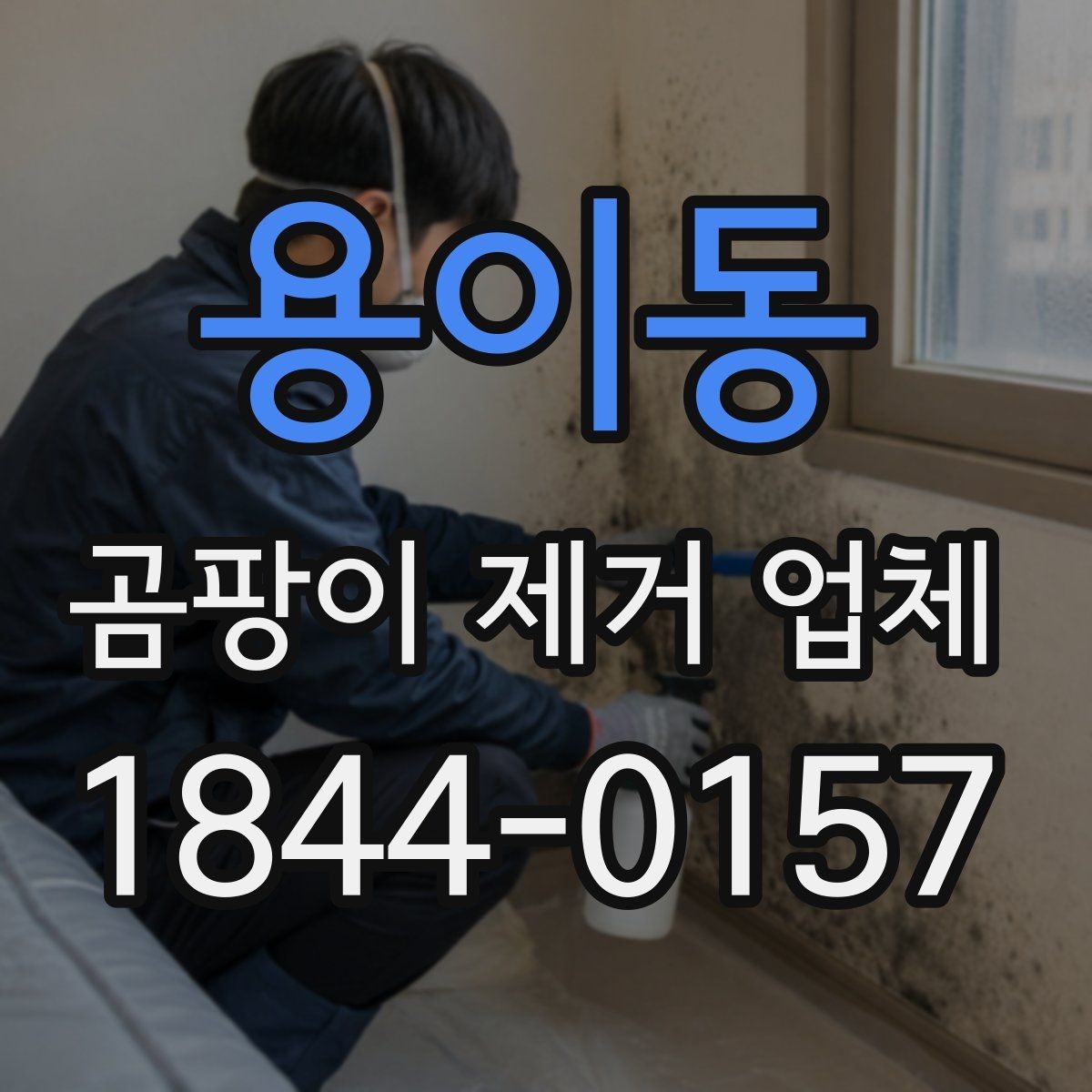 용이동 곰팡이 제거 업체 표면 청소와 전문 시공의 차이