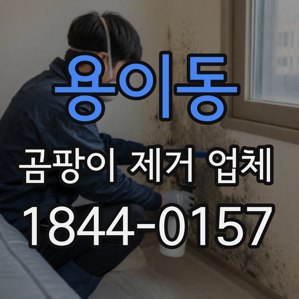용이동 곰팡이 제거 업체