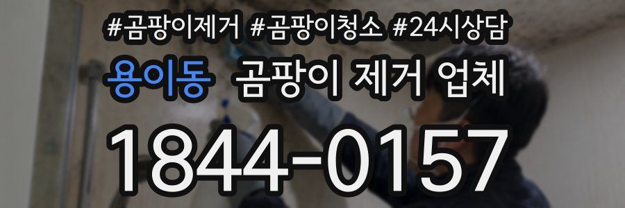 용이동 곰팡이 제거 업체