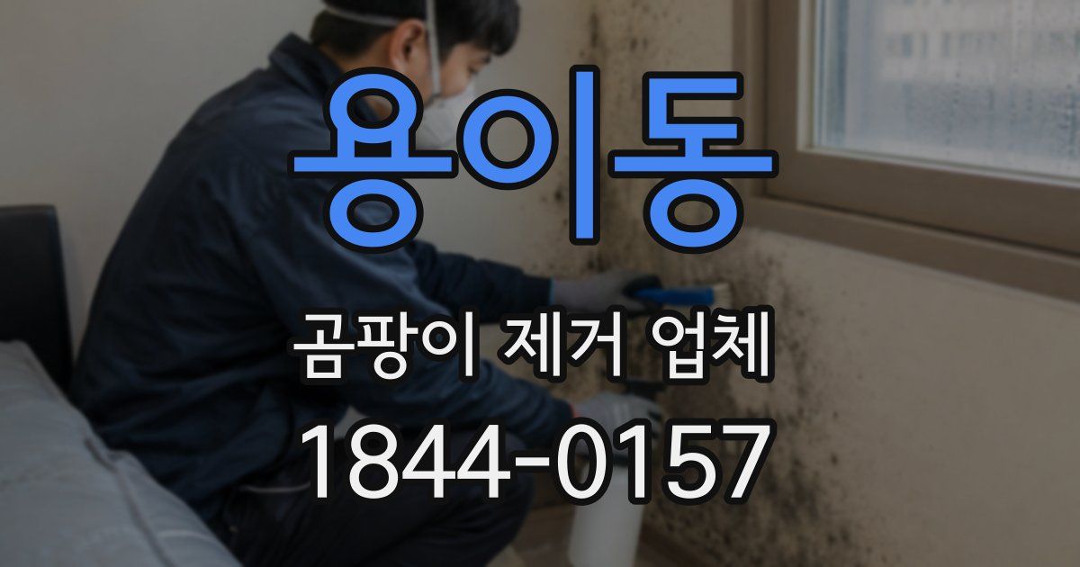 용이동 곰팡이 제거 업체