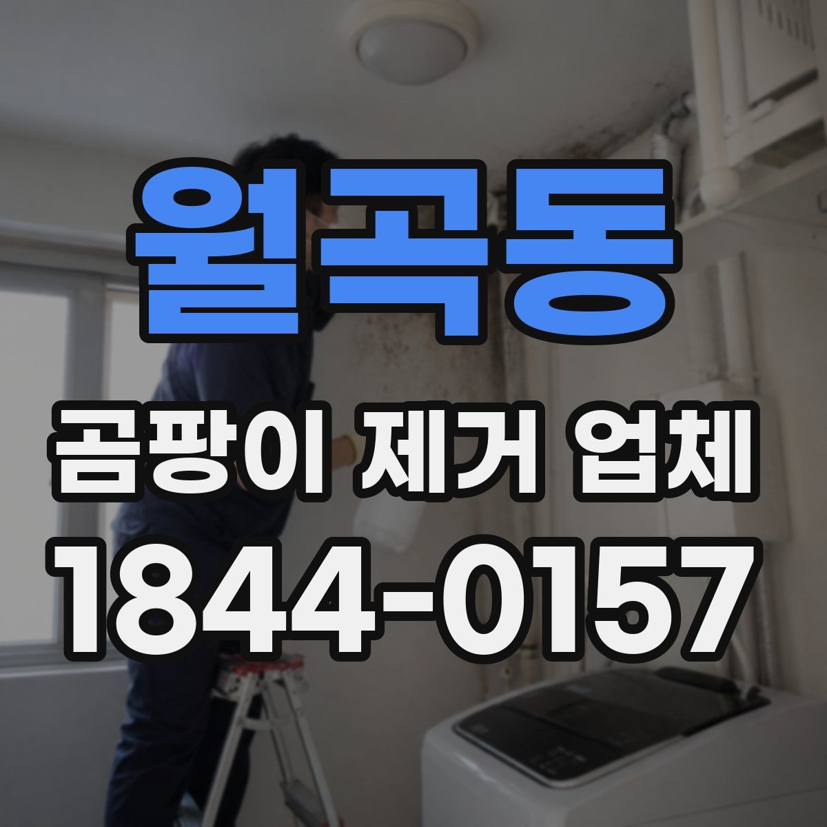 월곡동 곰팡이 제거 업체