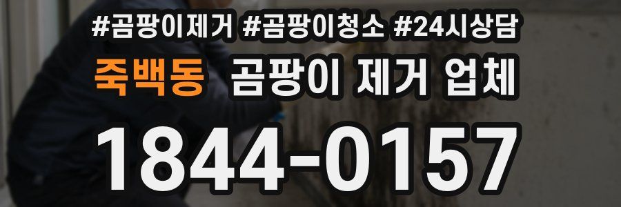 죽백동 곰팡이 제거 업체