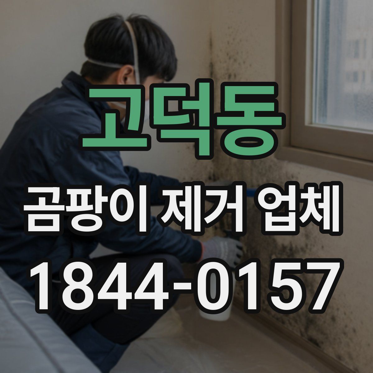 고덕동 곰팡이 제거 업체