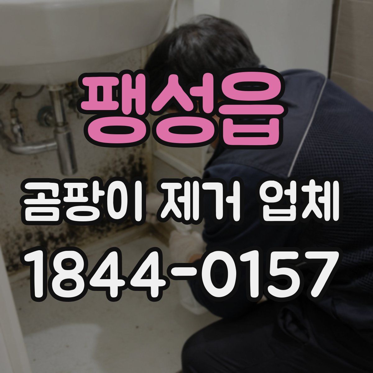 팽성읍 곰팡이 제거 업체