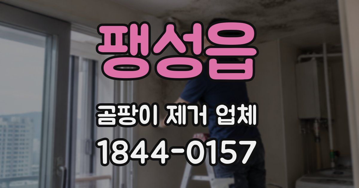 팽성읍 곰팡이 제거 업체
