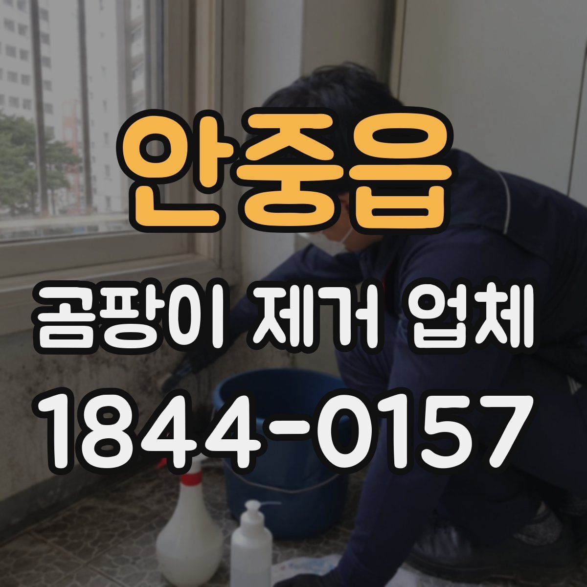 안중읍 곰팡이 제거 업체