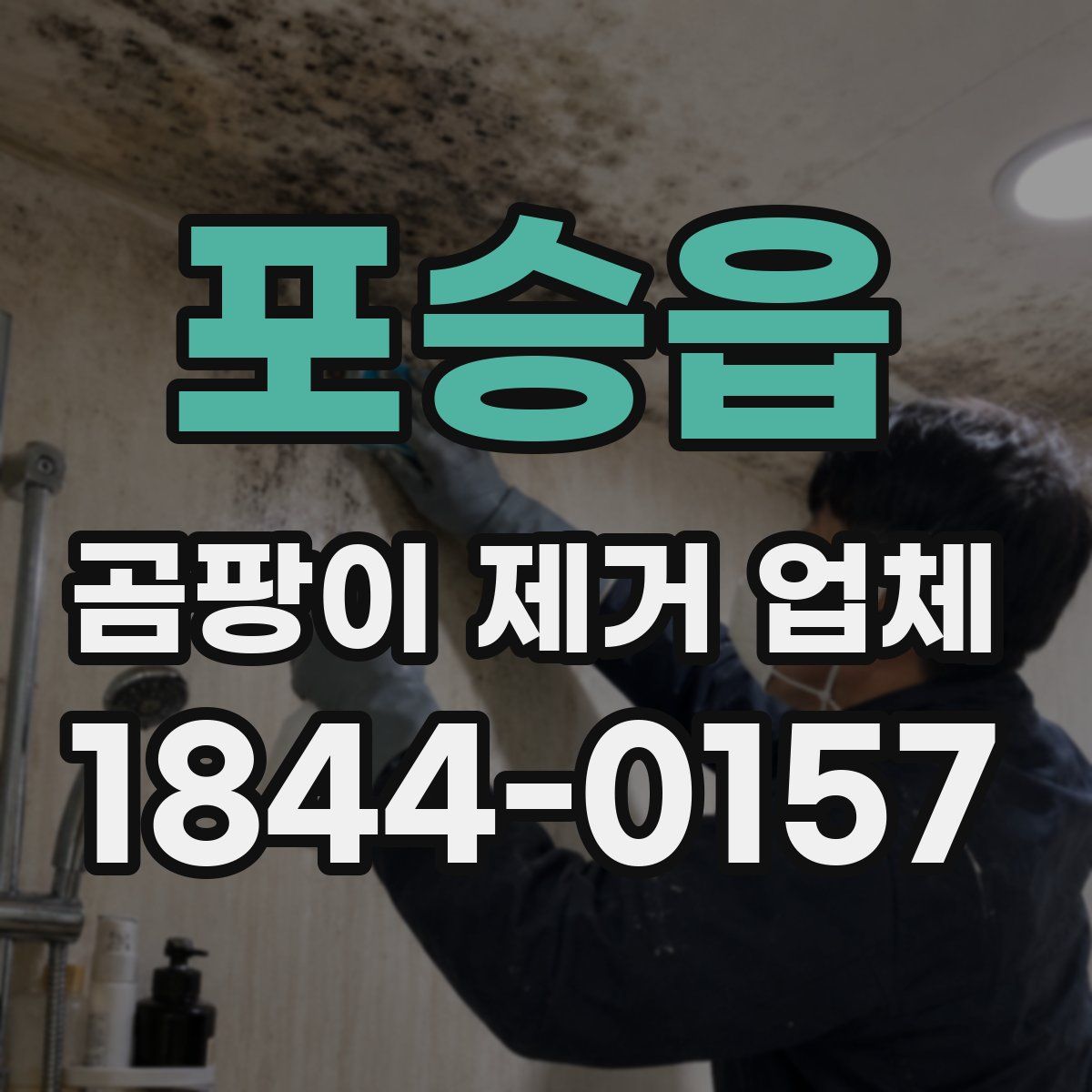 포승읍 곰팡이 제거 업체