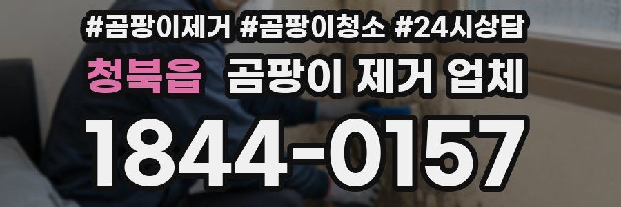 청북읍 곰팡이 제거 업체