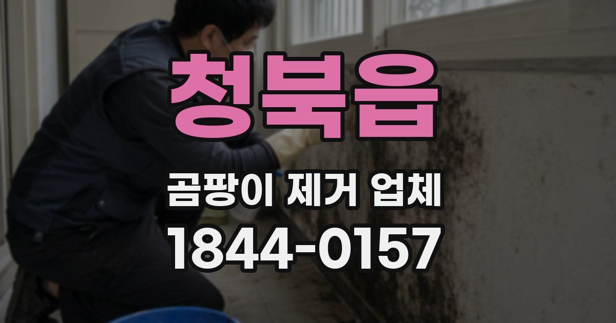 청북읍 곰팡이 제거 업체