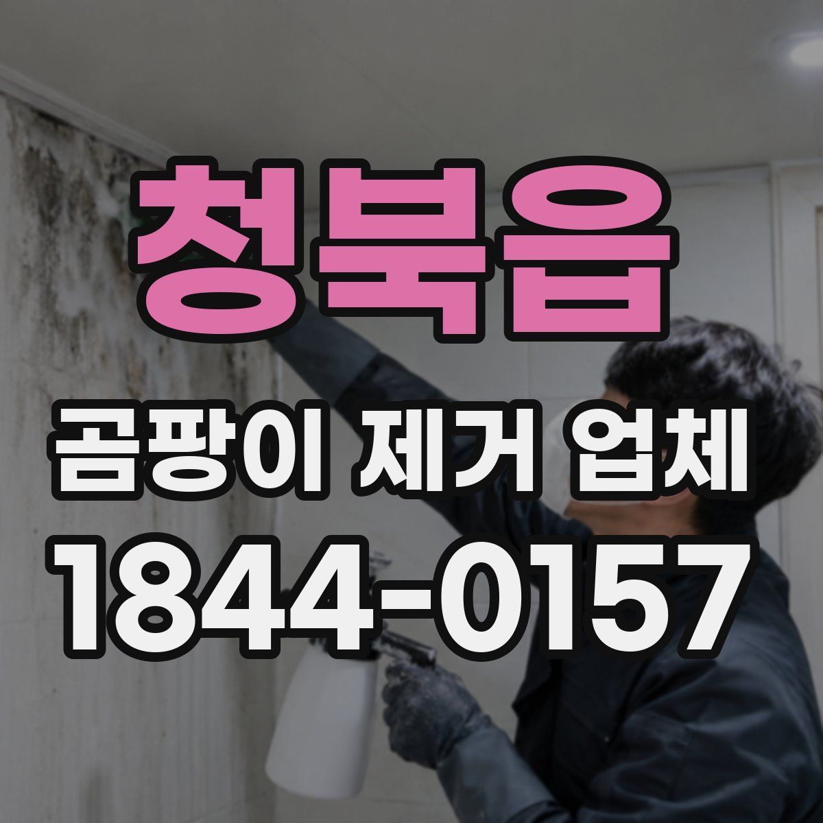 청북읍 곰팡이 제거 업체