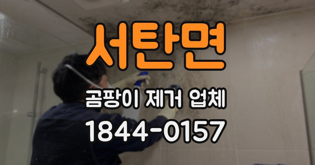 서탄면 곰팡이 제거 업체
