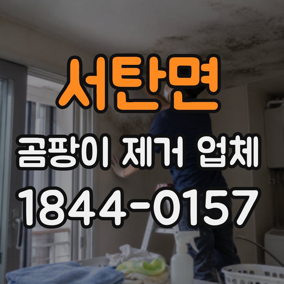 서탄면 곰팡이 제거 업체