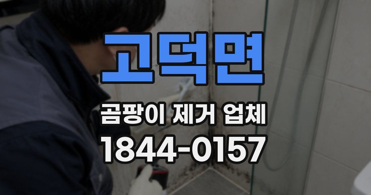 고덕면 곰팡이 제거 업체