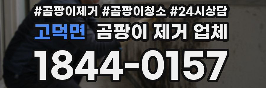 고덕면 곰팡이 제거 업체