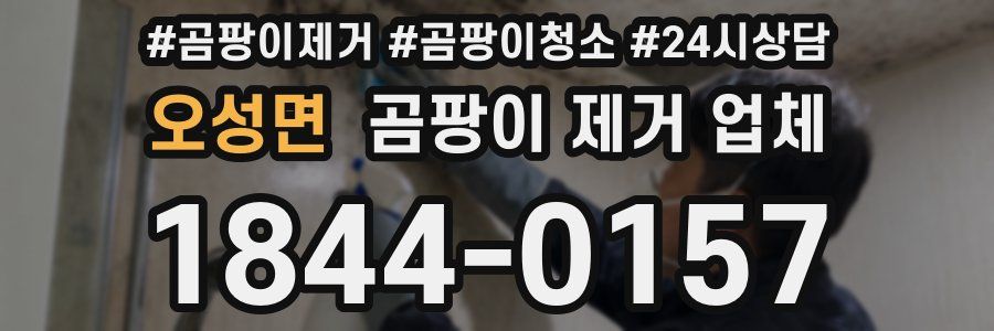 오성면 곰팡이 제거 업체