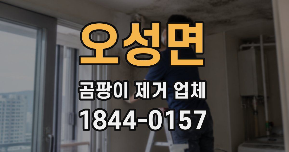 오성면 곰팡이 제거 업체