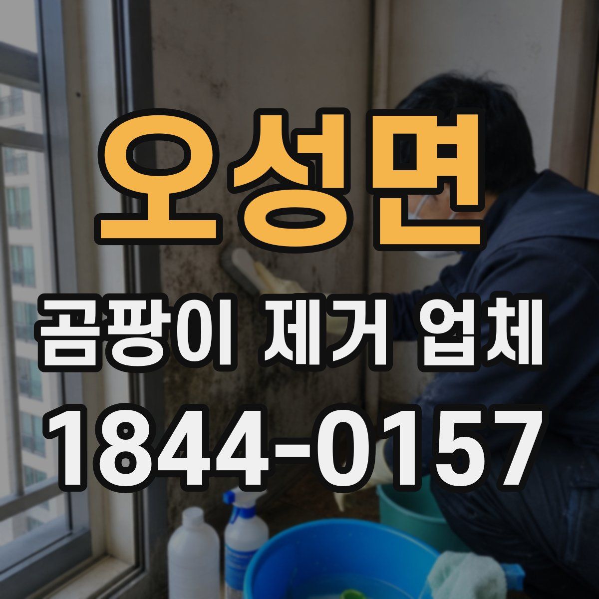 오성면 곰팡이 제거 업체
