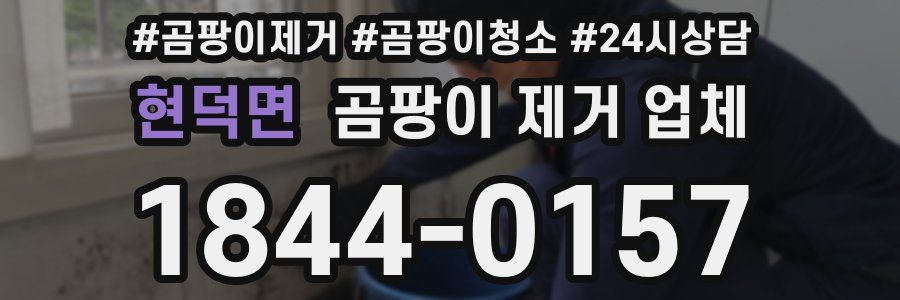현덕면 곰팡이 제거 업체