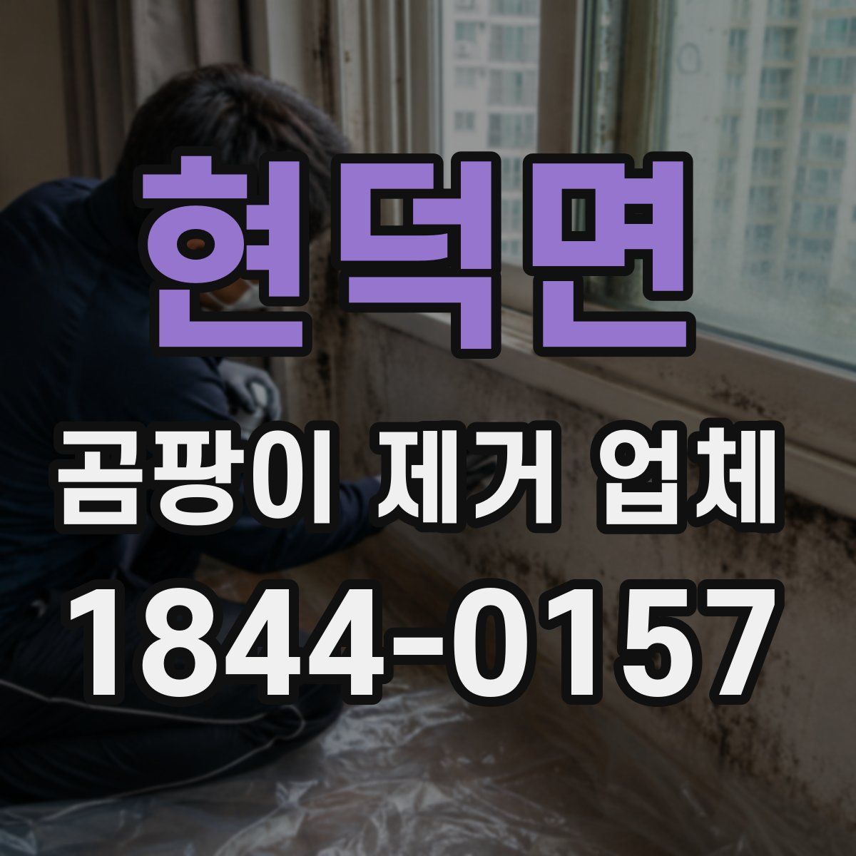 현덕면 곰팡이 제거 업체