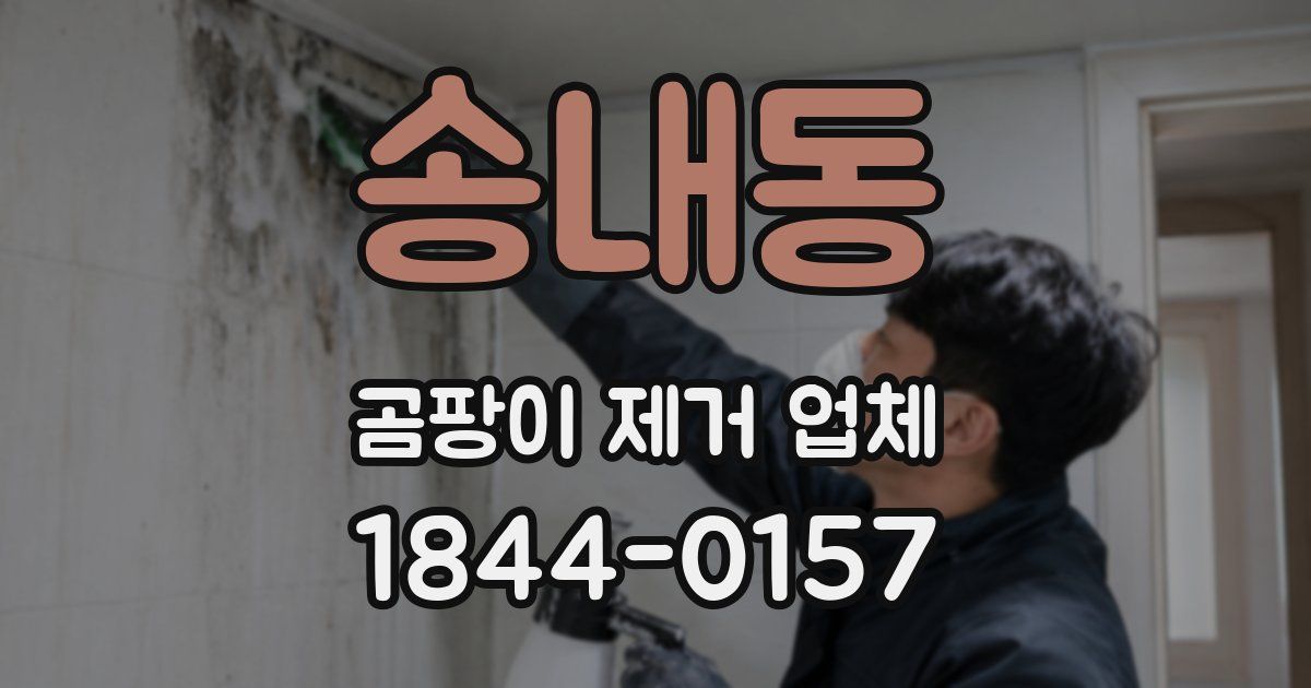 송내동 곰팡이 제거 업체