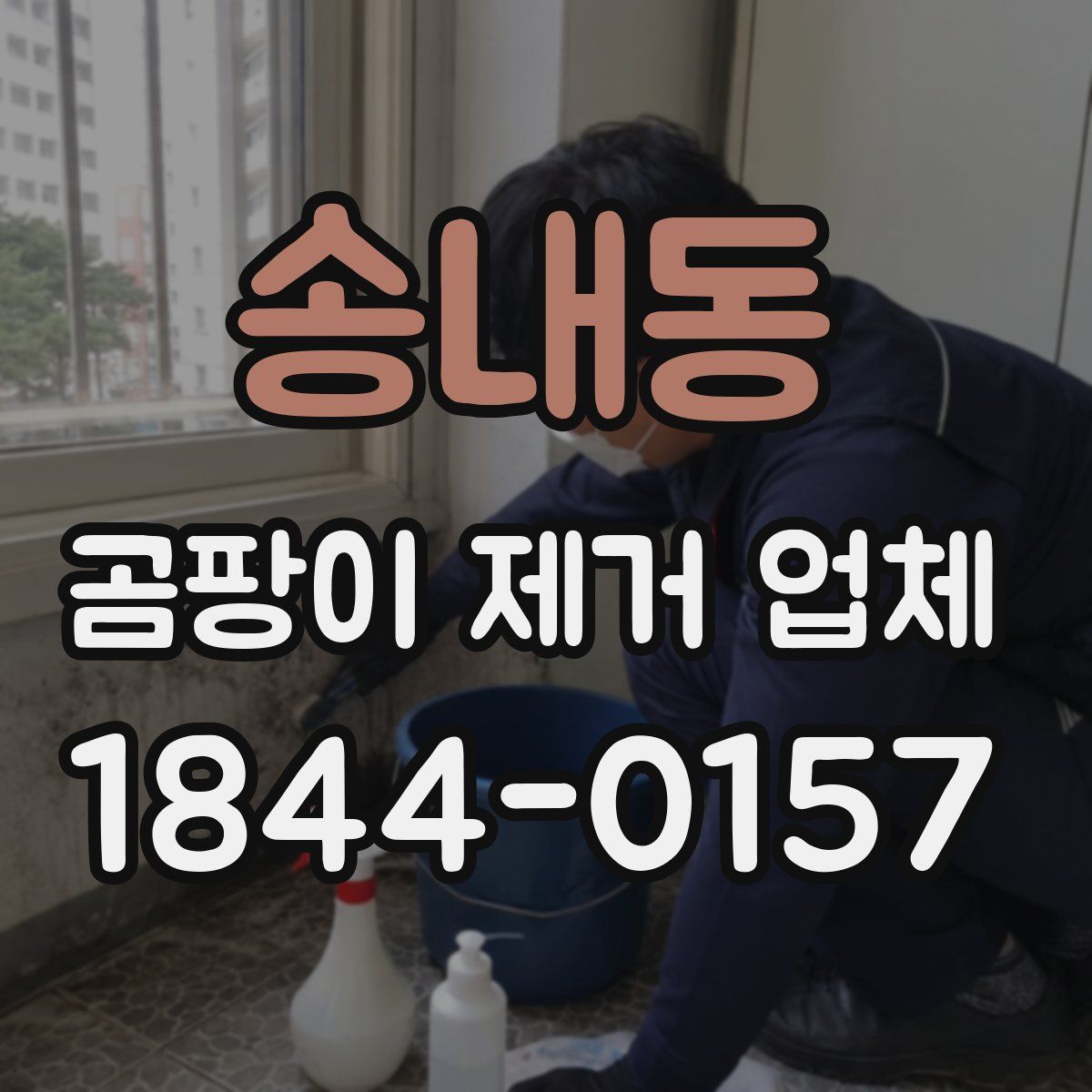 송내동 곰팡이 제거 업체
