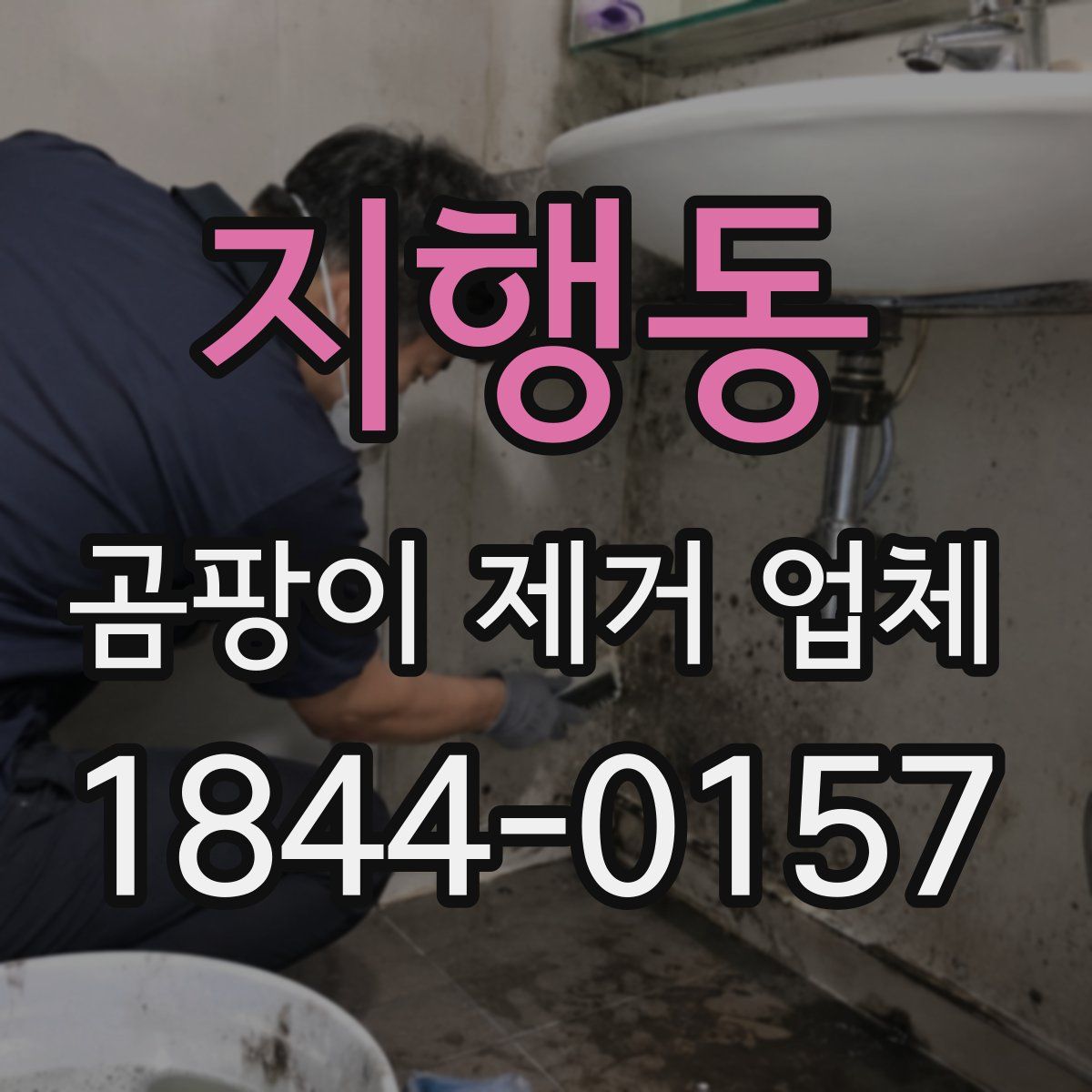 지행동 곰팡이 제거 업체
