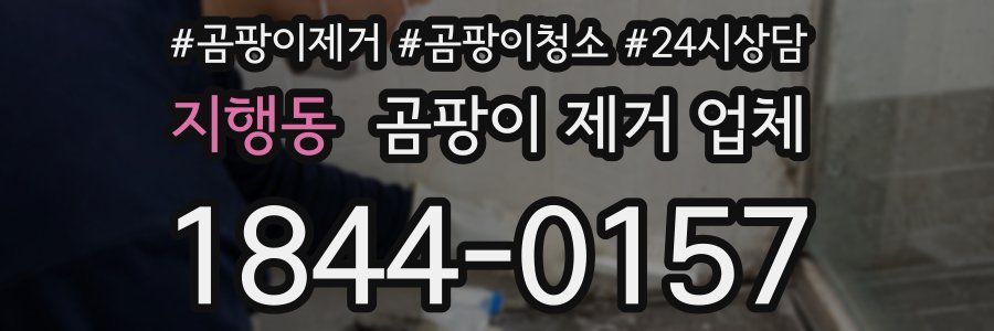 지행동 곰팡이 제거 업체