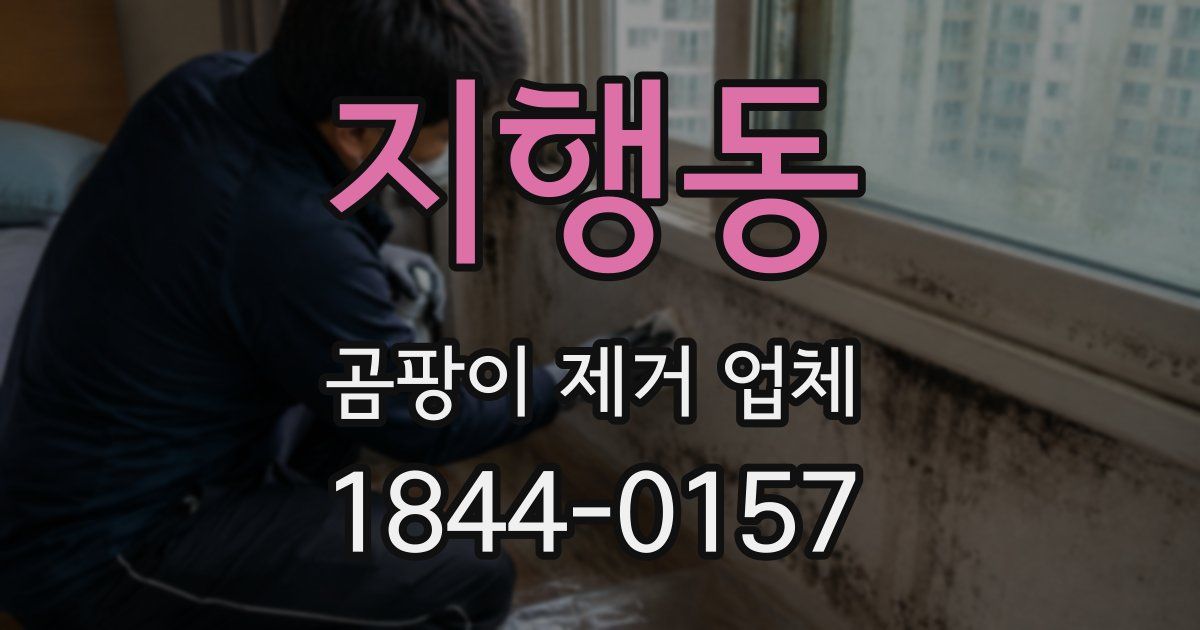 지행동 곰팡이 제거 업체