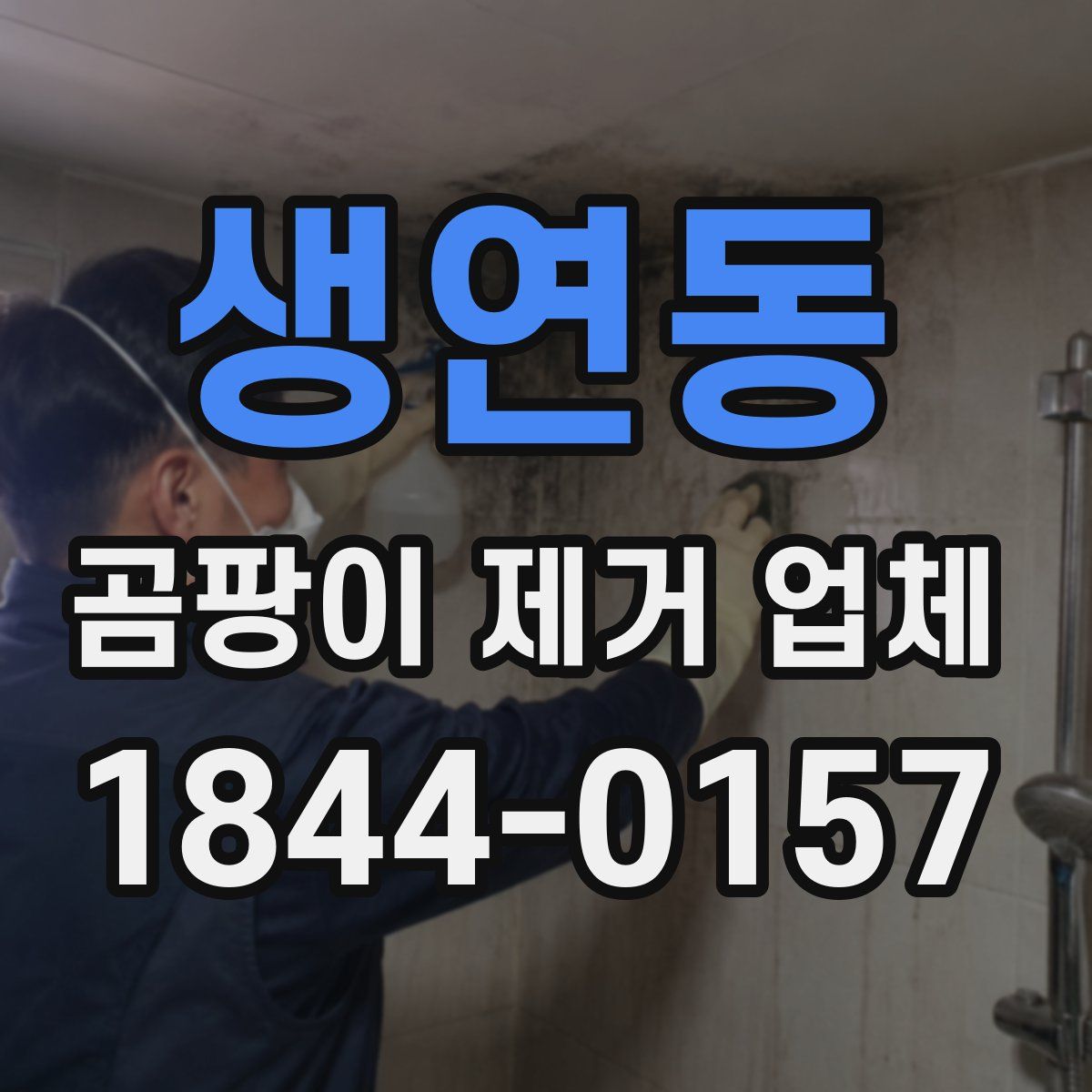 생연동 곰팡이 제거 업체