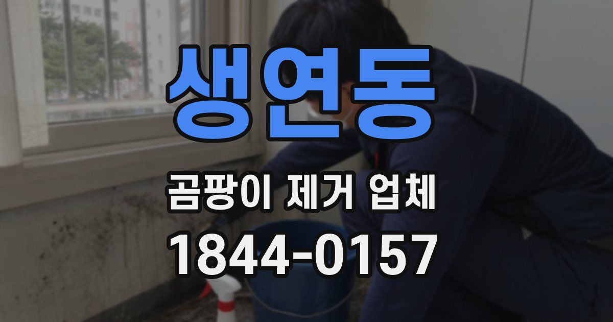 생연동 곰팡이 제거 업체