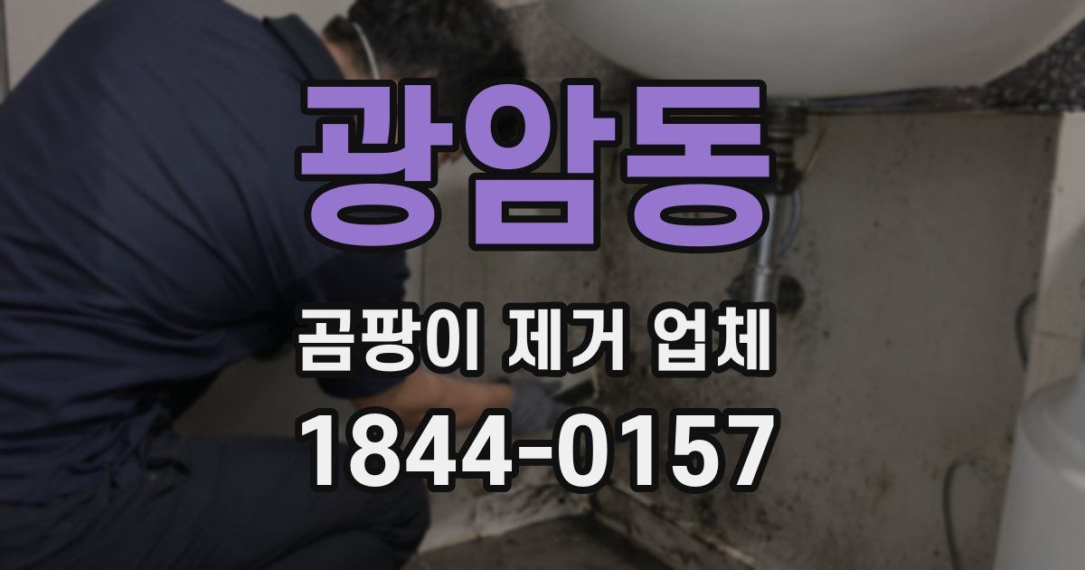 광암동 곰팡이 제거 업체
