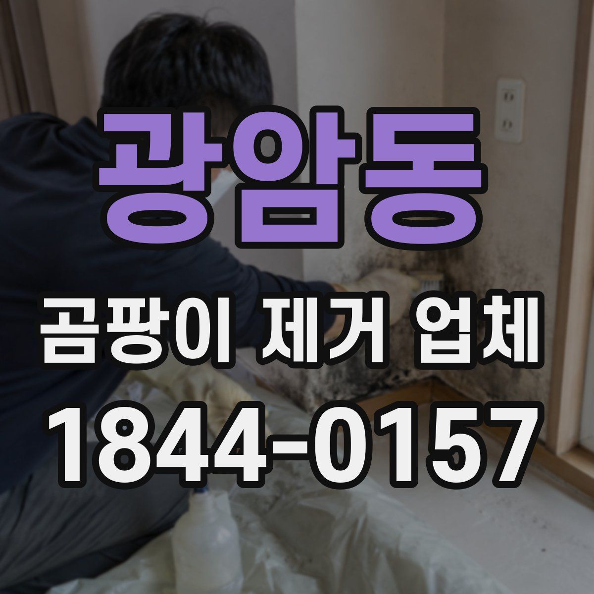 광암동 곰팡이 제거 업체