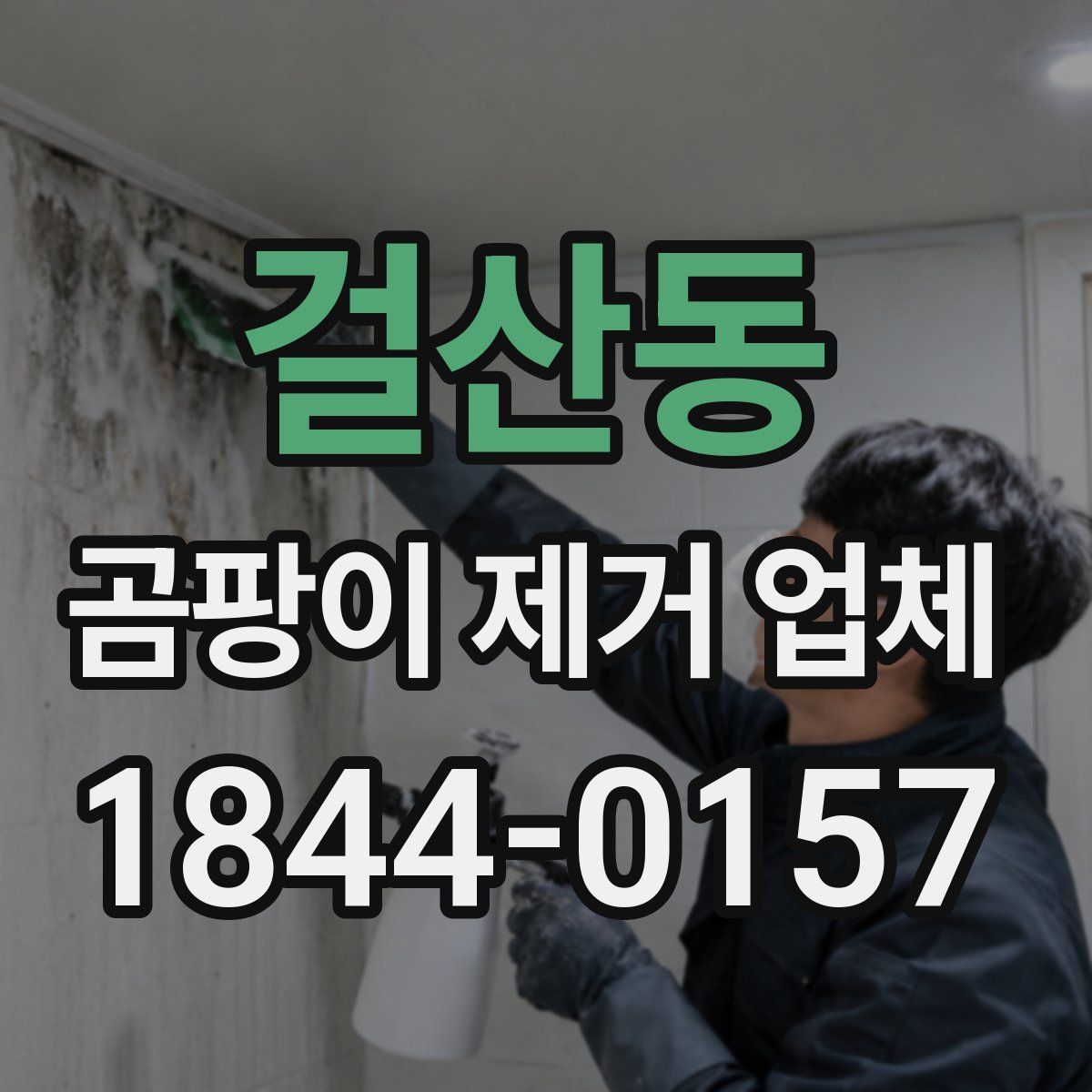 걸산동 곰팡이 제거 업체