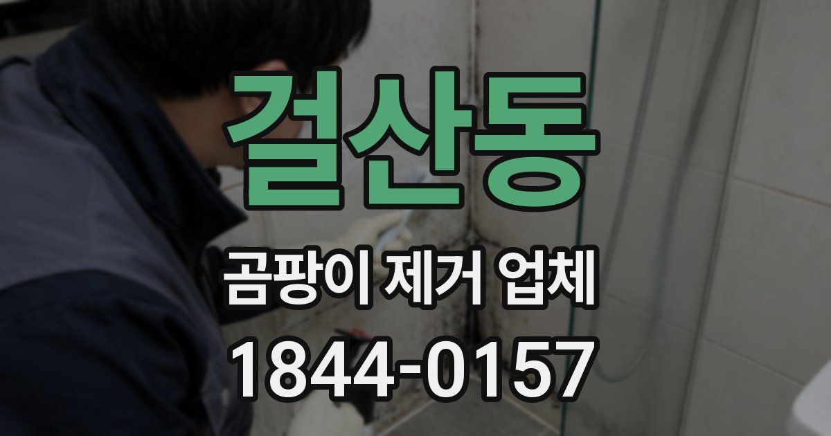 걸산동 곰팡이 제거 업체