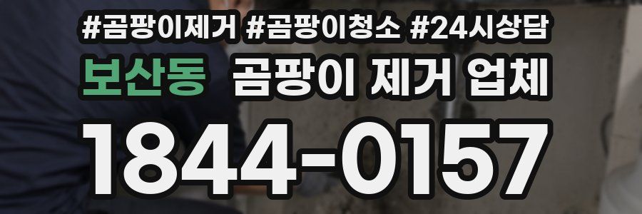 보산동 곰팡이 제거 업체