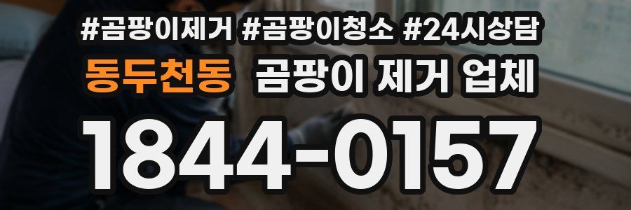 동두천동 곰팡이 제거 업체