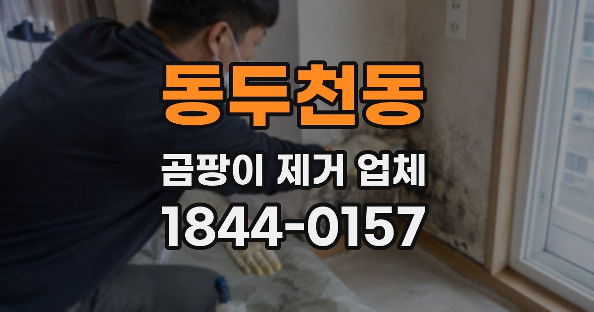 동두천동 곰팡이 제거 업체