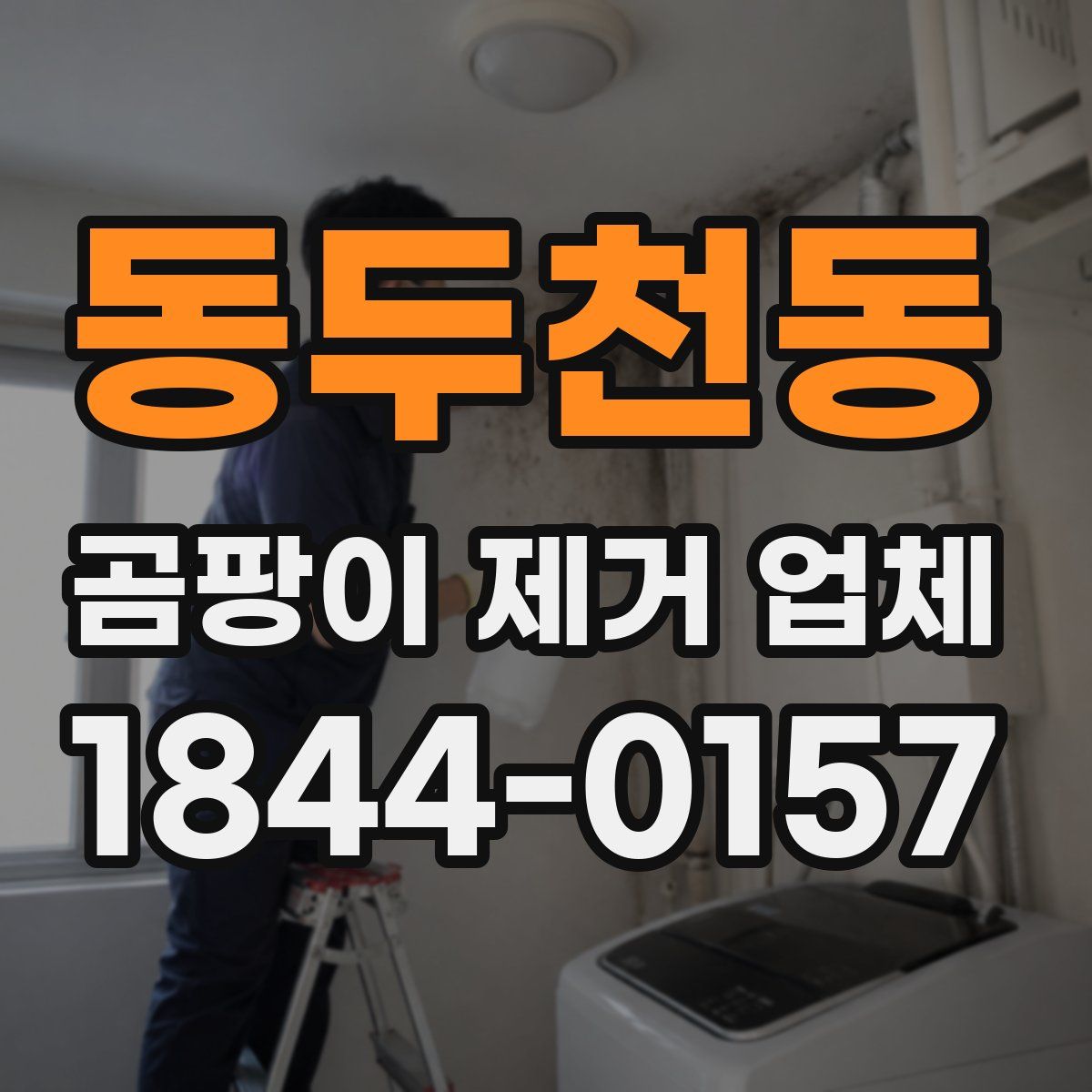 동두천동 곰팡이 제거 업체