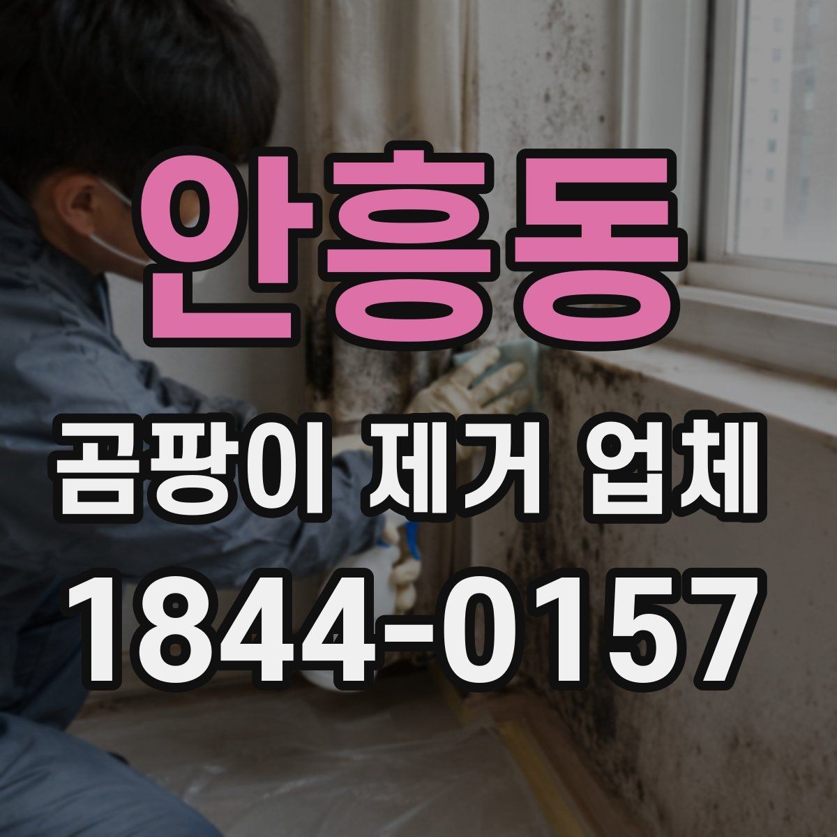 안흥동 곰팡이 제거 업체 세대 간 습기 영향까지 살피는 점검 방법